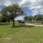 sprzedam-działka-pułtusk-grabówiec-lipa-dom-lokal-biuro-kamienica-biuro-nieruchomości-ekoinvest-6