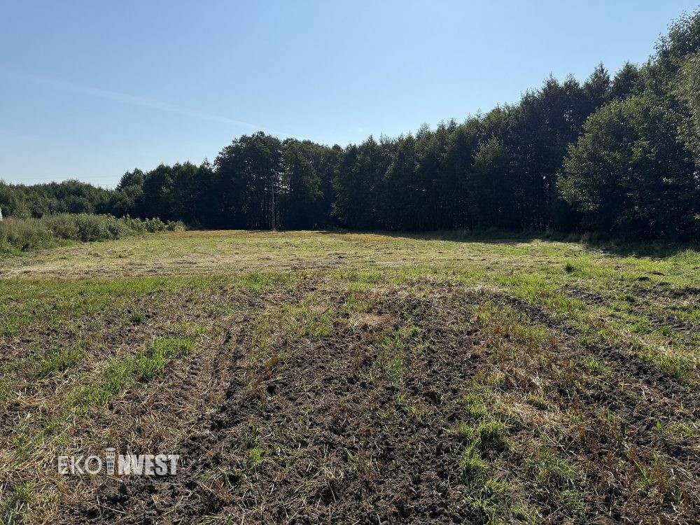 sprzedam-działka-pułtusk-grabówiec-natalin-biuro-nieruchomości-ekoinvest-2