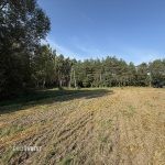 sprzedam-działka-pułtusk-grabówiec-natalin-biuro-nieruchomości-ekoinvest-3