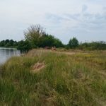 sprzedam-działka-działkabudowlana-działkarolna-działkarekreacyjna-działkainwestycyjna-pułtusk-biuro-nieruchomości-ekoinvest-4