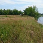 sprzedam-działka-działkabudowlana-działkarolna-działkarekreacyjna-działkainwestycyjna-pułtusk-biuro-nieruchomości-ekoinvest-6