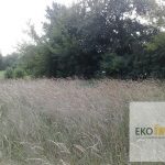 sprzedam-działka-działkabudowlana-działkarolna-działkarekreacyjna-działkainwestycyjna-pułtusk-biuro-nieruchomości-ekoinvest-8