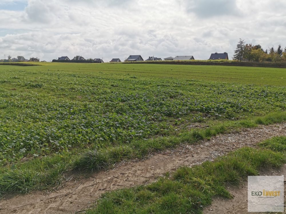 sprzedam-działka-działkabudowlana-pułtusk-biuro-nieruchomości-ekoinvest-1