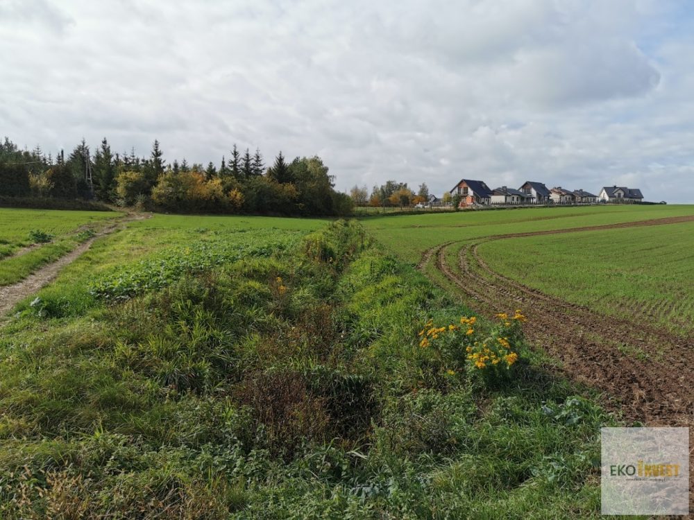 sprzedam-działka-działkabudowlana-pułtusk-biuro-nieruchomości-ekoinvest-2