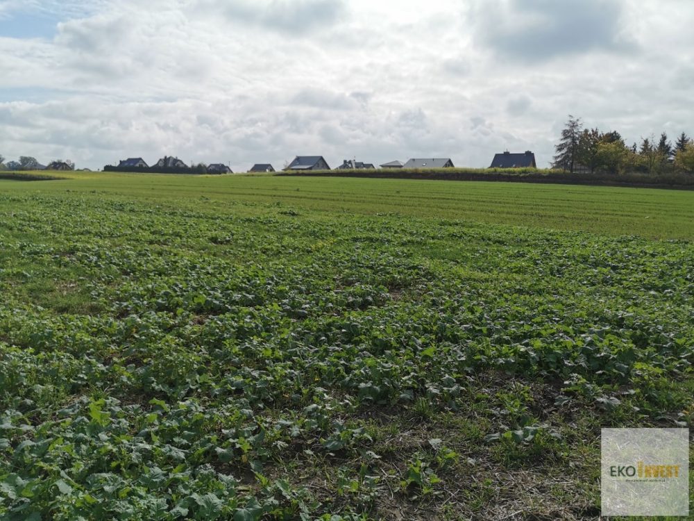 sprzedam-działka-działkabudowlana-pułtusk-biuro-nieruchomości-ekoinvest-3