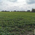 sprzedam-działka-działkabudowlana-pułtusk-biuro-nieruchomości-ekoinvest-3