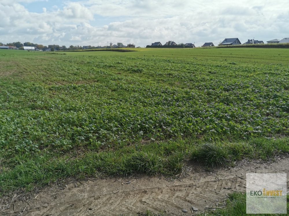 sprzedam-działka-działkabudowlana-pułtusk-biuro-nieruchomości-ekoinvest-4