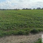 sprzedam-działka-działkabudowlana-pułtusk-biuro-nieruchomości-ekoinvest-4