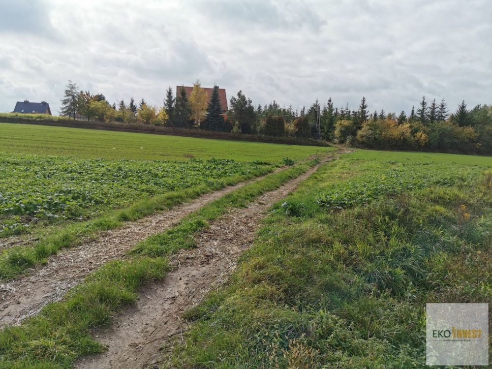 sprzedam-działka-działkabudowlana-pułtusk-biuro-nieruchomości-ekoinvest-5