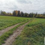 sprzedam-działka-działkabudowlana-pułtusk-biuro-nieruchomości-ekoinvest-5