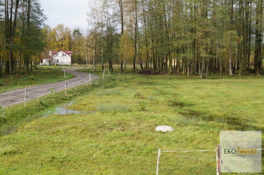 sprzedam-działka-działkabudowlana-pułtusk-pokrzywnica-niestępowowłościańskie-biuro-nieruchomości-ekoinvest-1