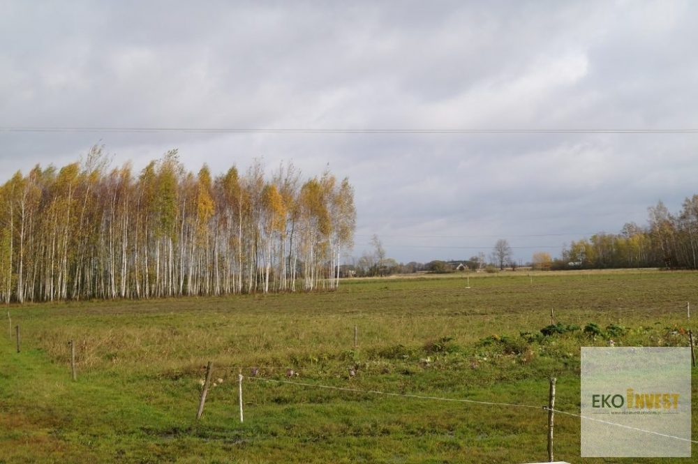 sprzedam-działka-działkabudowlana-pułtusk-pokrzywnica-niestępowowłościańskie-biuro-nieruchomości-ekoinvest-2