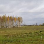 sprzedam-działka-działkabudowlana-pułtusk-pokrzywnica-niestępowowłościańskie-biuro-nieruchomości-ekoinvest-2