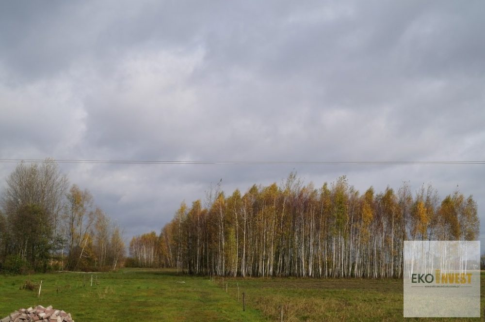 sprzedam-działka-działkabudowlana-pułtusk-pokrzywnica-niestępowowłościańskie-biuro-nieruchomości-ekoinvest-3