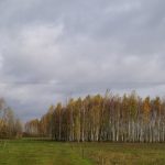 sprzedam-działka-działkabudowlana-pułtusk-pokrzywnica-niestępowowłościańskie-biuro-nieruchomości-ekoinvest-3