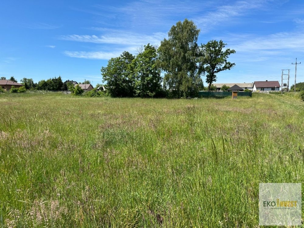 sprzedam-działka-pułtusk-świercze-bruliny-nasielsk-biuro-nieruchomości-ekoinvest-1
