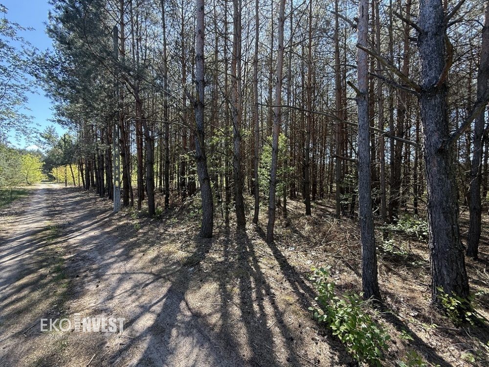 sprzedam-działka-pułtusk-zatory-cieńsza-wyszków-biuro-nieruchomości-ekoinvest-biuronieruchomościpułtusk-2