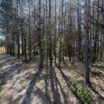 sprzedam-działka-pułtusk-zatory-cieńsza-wyszków-biuro-nieruchomości-ekoinvest-biuronieruchomościpułtusk-2