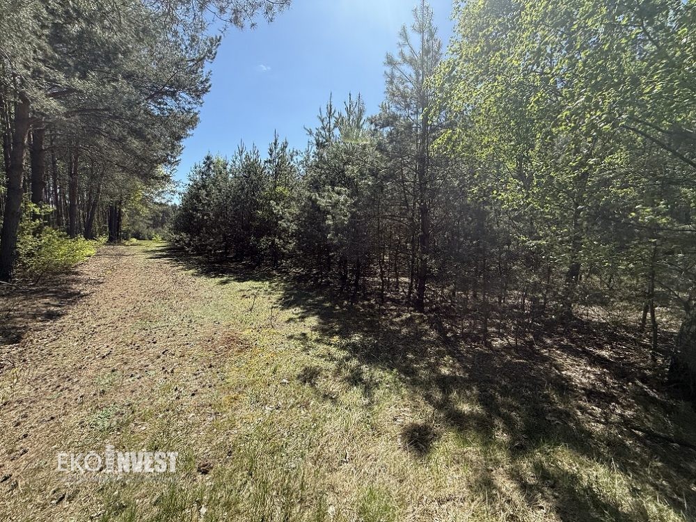 sprzedam-działka-pułtusk-zatory-cieńsza-wyszków-biuro-nieruchomości-ekoinvest-biuronieruchomościpułtusk-3