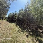 sprzedam-działka-pułtusk-zatory-cieńsza-wyszków-biuro-nieruchomości-ekoinvest-biuronieruchomościpułtusk-3