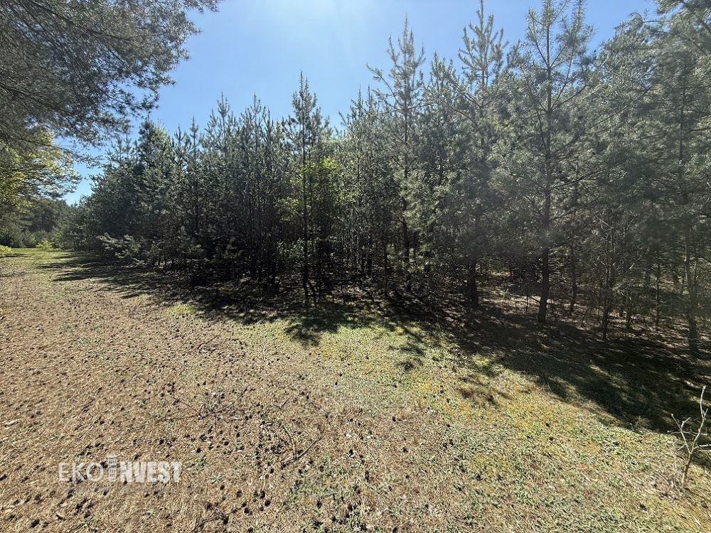 sprzedam-działka-pułtusk-zatory-cieńsza-wyszków-biuro-nieruchomości-ekoinvest-biuronieruchomościpułtusk-4