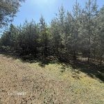 sprzedam-działka-pułtusk-zatory-cieńsza-wyszków-biuro-nieruchomości-ekoinvest-biuronieruchomościpułtusk-4